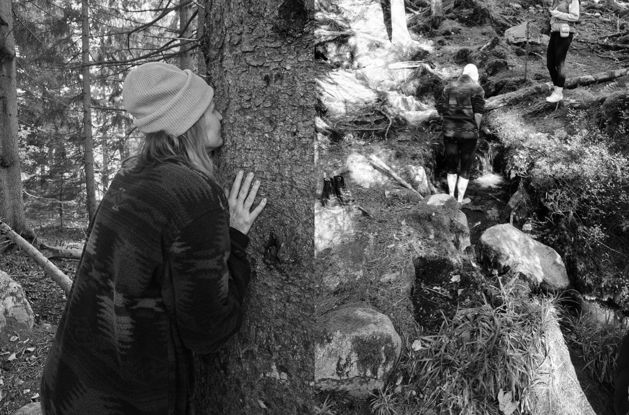 Zwei Momente im Wald: eine Frau mit der Hand an einem Baumstamm und eine Gruppe barfuß auf einem moosigen Pfad